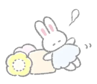 🐰