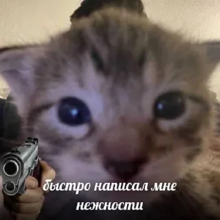 ✍️