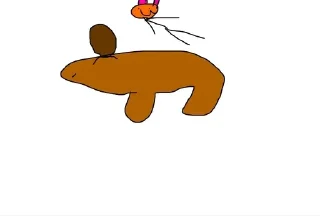 🦫