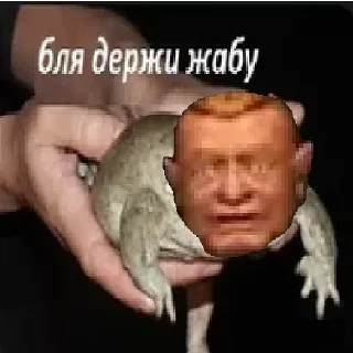 🐸