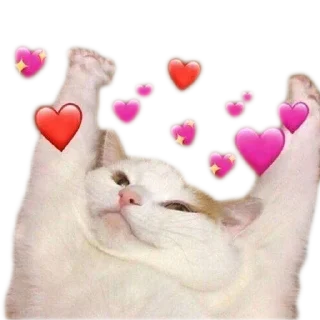 ❤️