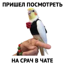 👌