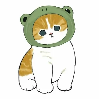😸