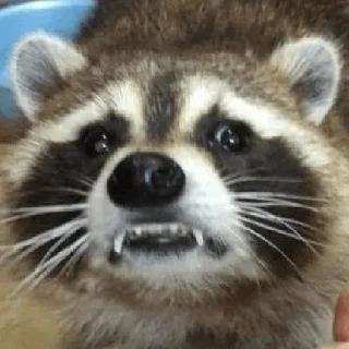 🫥