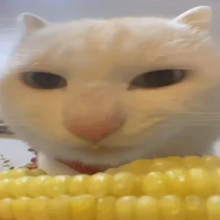 😐
