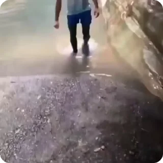 🌟