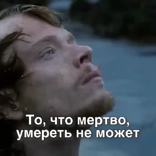 🙉
