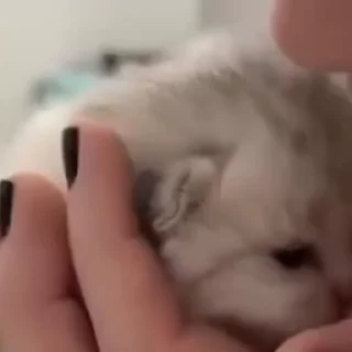 🥰
