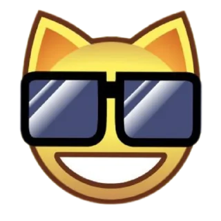 😎