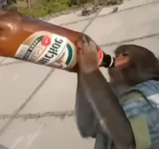 🍺