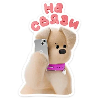 📱