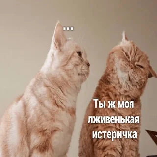 😊