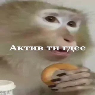 🐵