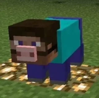 🐷