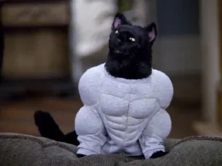 💪