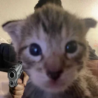🔫