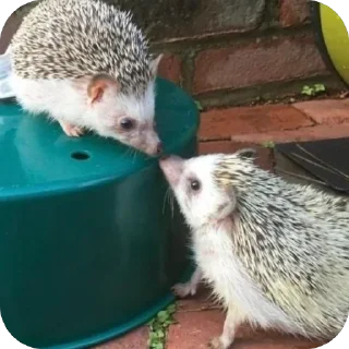 ❤