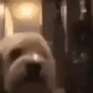 😁