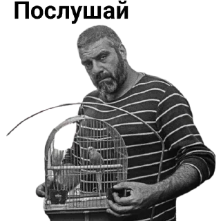 🐤