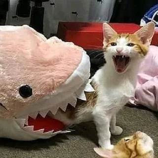 😱