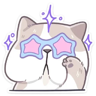 😎