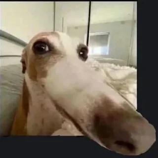 👀