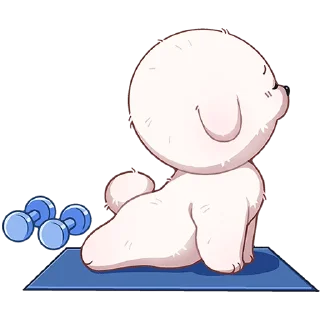 💪
