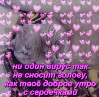 💜