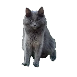 🫥