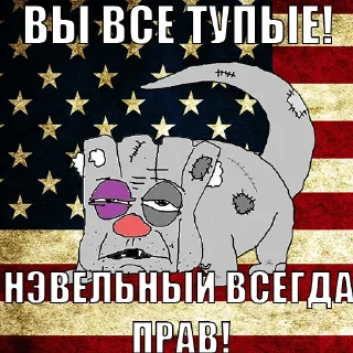 🇺🇸