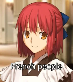 🇫🇷