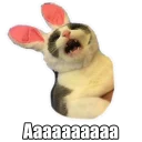 😵