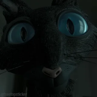 🐈‍⬛