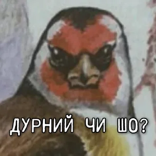 🤔