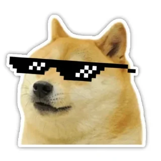 😎