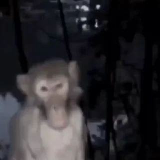 🤩