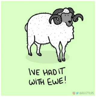 🐑