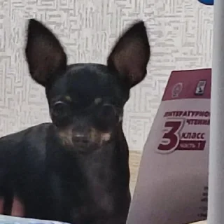 🤓
