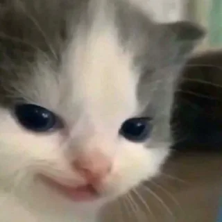 🤯