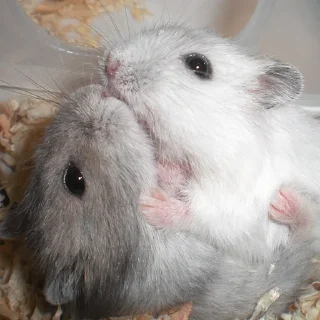 😘