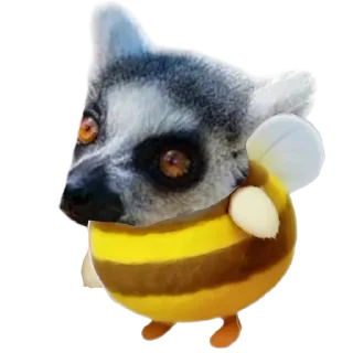 🦥