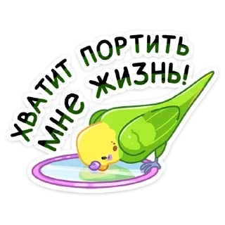 🪞