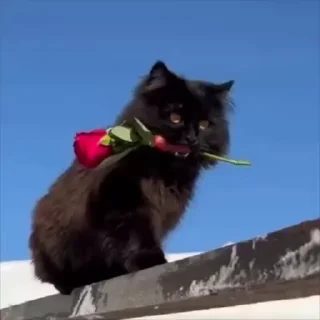 💐