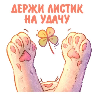 🙌