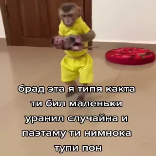 🐵