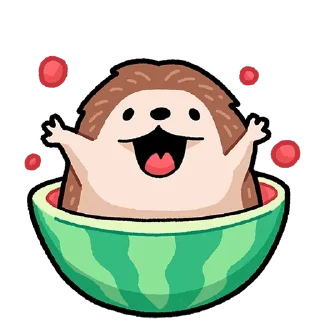 🍉