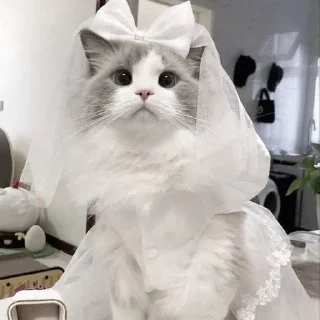 👰‍♀