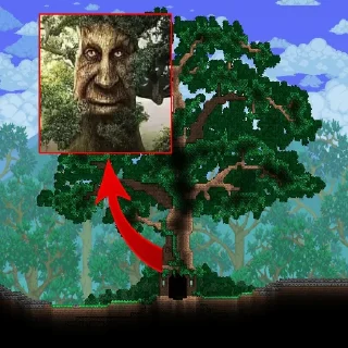 🌳