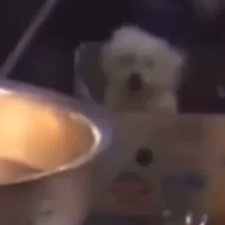 👻