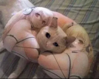 😭